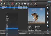 Pixillion - Convertisseur d'image (13.09) pour mac Pixillion - Convertisseur d'image (13.09) pour mac