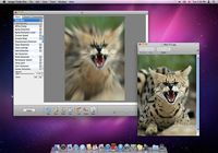 Image Tricks pour mac