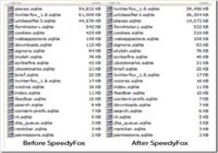 SpeedyFox pour mac