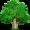 Télécharger Tree