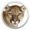 Télécharger Mac OS X Mountain Lion