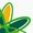 Télécharger Flores Online