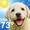 Télécharger Météo Puppy