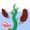 Télécharger Jack and the Beanstalk  - QLL Kung Fu Chinese (Bilingual Storyti
