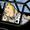 Télécharger Les Aventures de Tintin