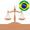 Télécharger Vade Mecum Lite Direito Brasil