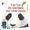 Télécharger Yan Yan: The First Black and White Panda