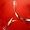 Télécharger Adobe Acrobat XI Pro