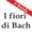 Télécharger I Fiori di Bach - traduzione di Silvia Cecchini
