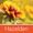 Télécharger Each Day a New Beginning: Daily Meditations for Women in Recover