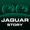 Télécharger Jaguar Story