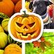 Halloween image Stickers: La photo Effrayant Maker pour mac