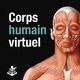 Corps humain virtuel pour mac
