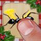 Ant Smasher Noël - Un jeu gratuit par Best, Cool  pour mac