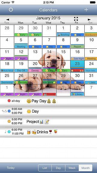 CalendarSkin OldStyle pour mac