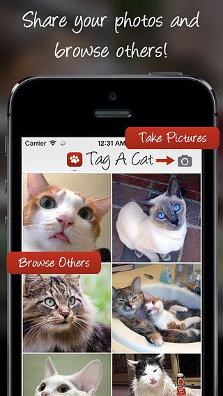 Tag A Cat - The Cat Pictures Sharing App pour mac
