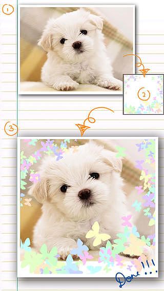 AceCam Frame - Photo Effect for Instagram pour mac AceCam Frame - Photo Effect for Instagram pour mac