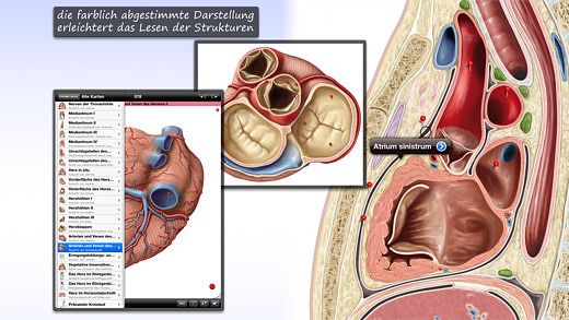 PROMETHEUS - LernKarten der Anatomie pour mac